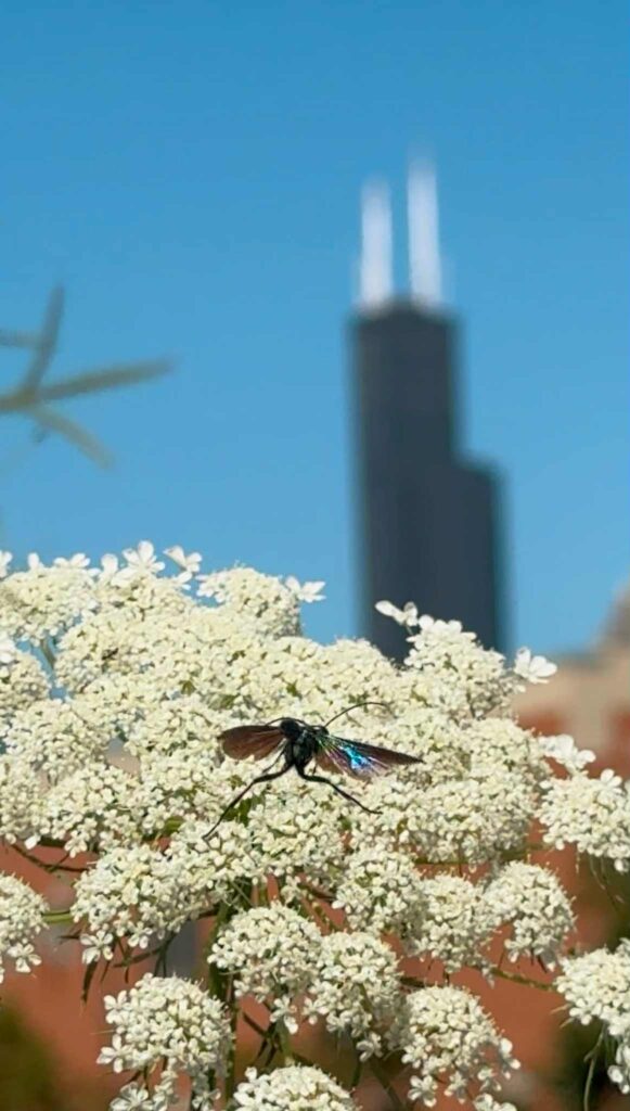 att.k2csv0ryxnfoqcuz06jglkt7bohxmmy9ro2gkgqflja